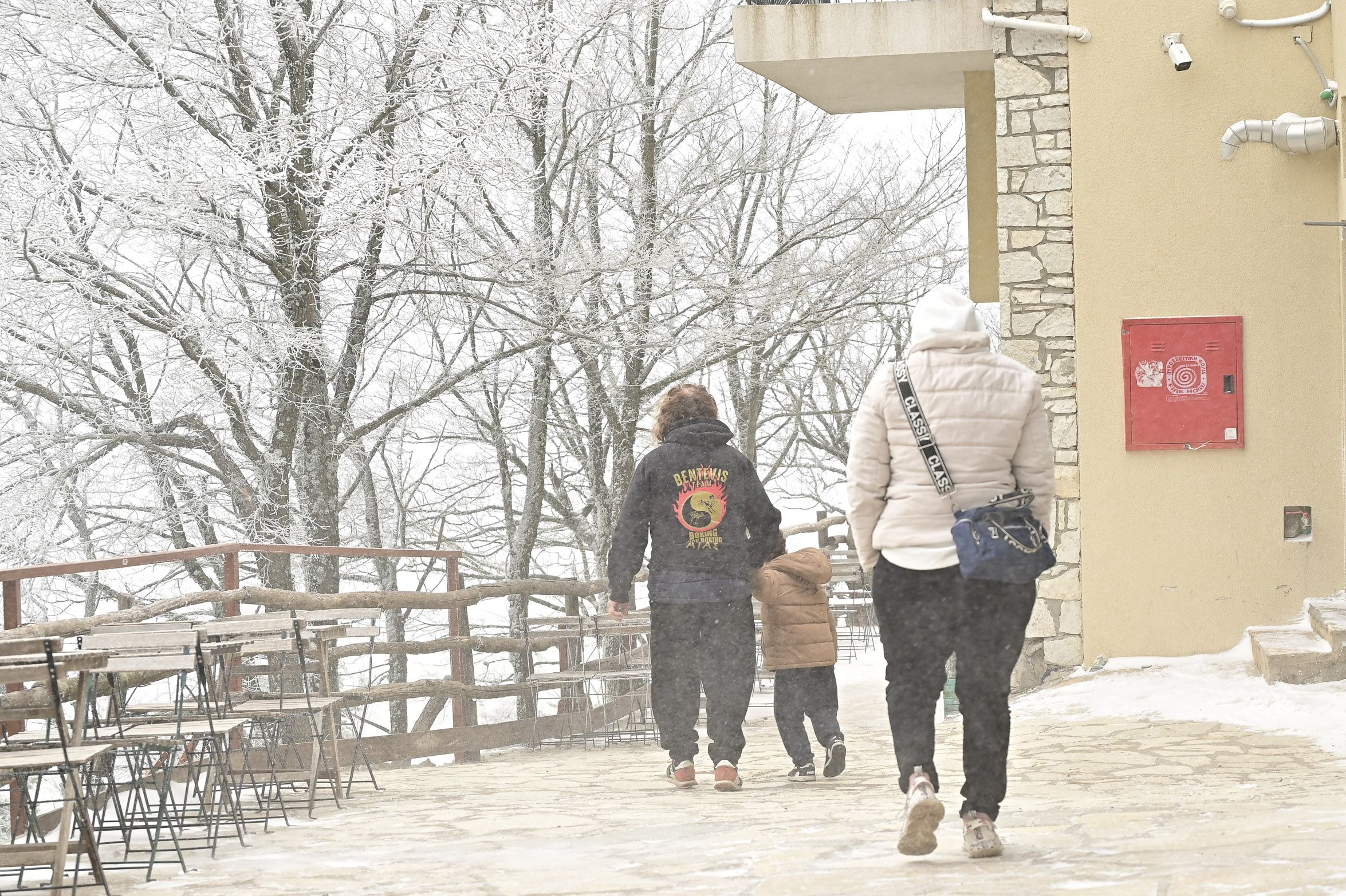 Η Πάρνηθα ντυμένη στα λευκά από την πρώτη χιονόπτωση της νέας χρονιάς.-3.jpg