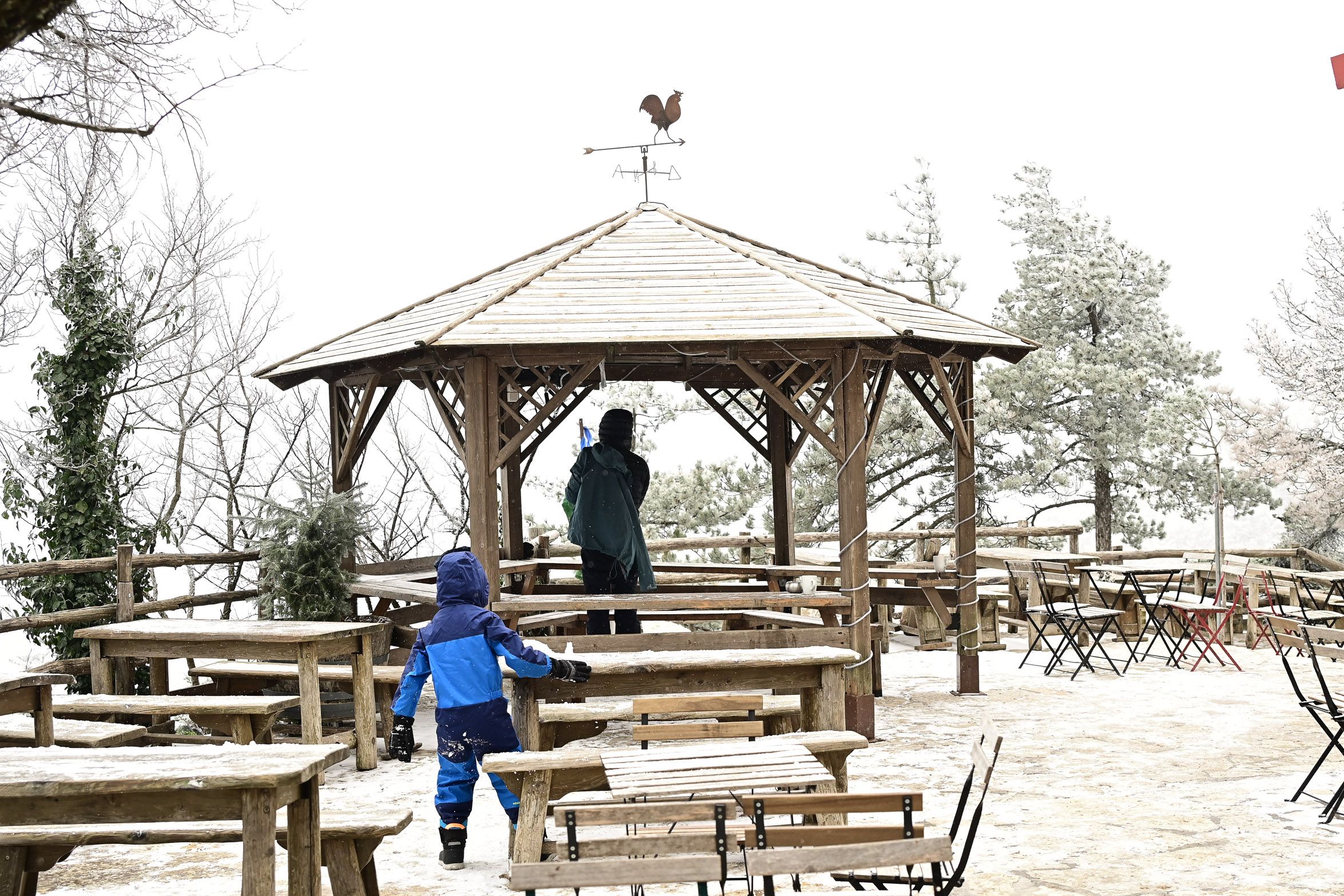 Η Πάρνηθα ντυμένη στα λευκά από την πρώτη χιονόπτωση της νέας χρονιάς.-4.jpg