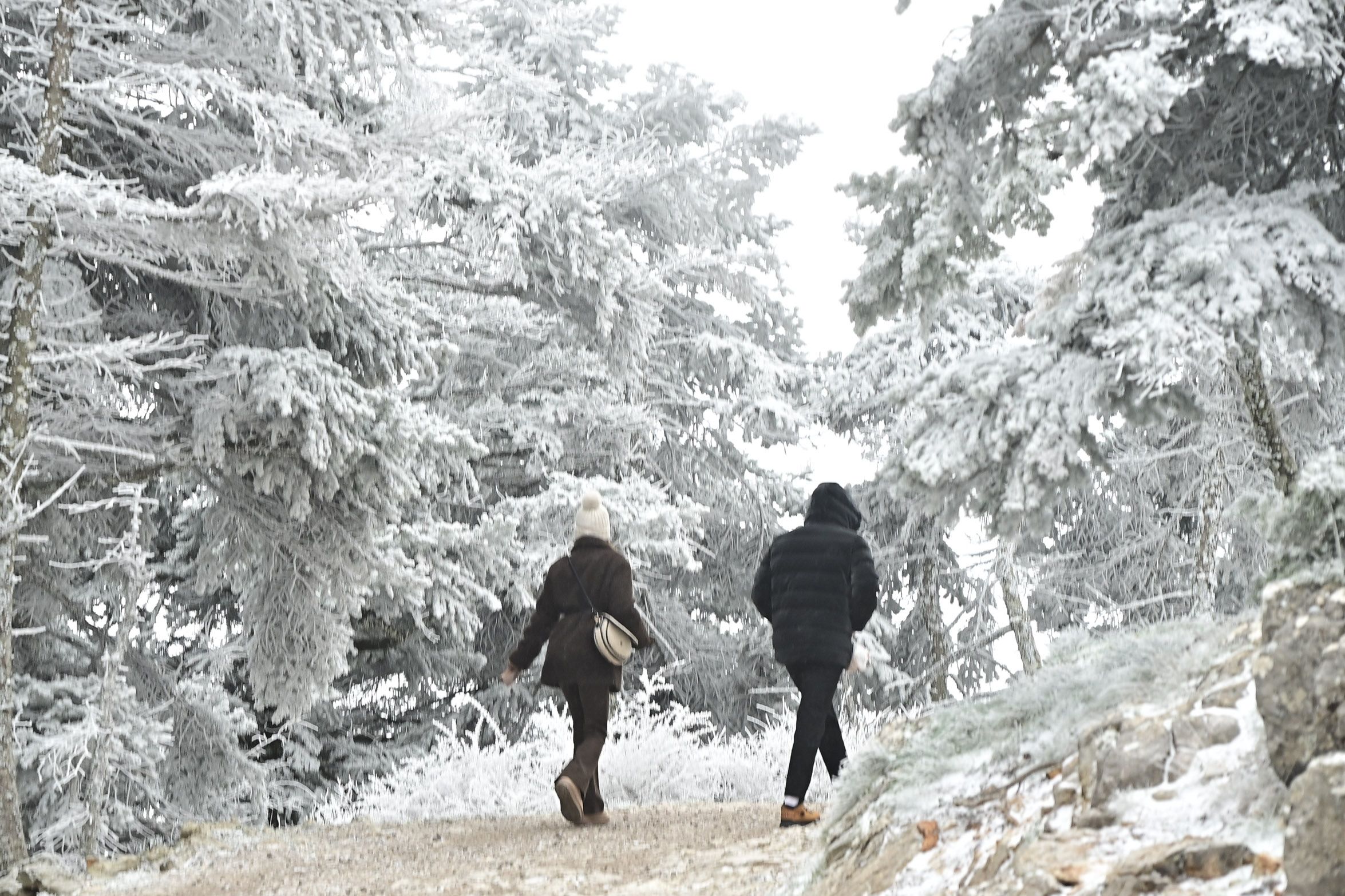 Η Πάρνηθα ντυμένη στα λευκά από την πρώτη χιονόπτωση της νέας χρονιάς.-5.jpg